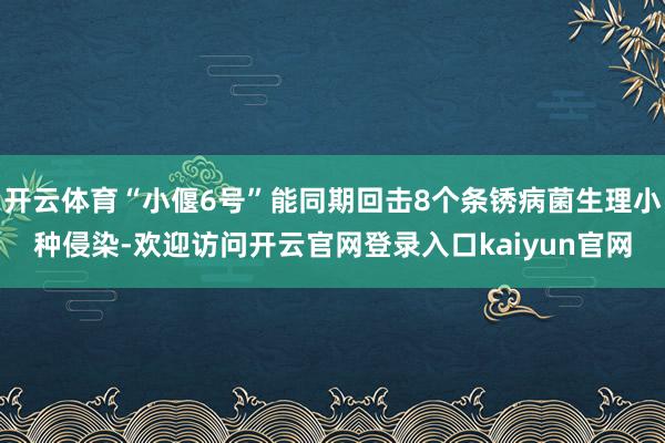开云体育“小偃6号”能同期回击8个条锈病菌生理小种侵染-欢迎访问开云官网登录入口kaiyun官网